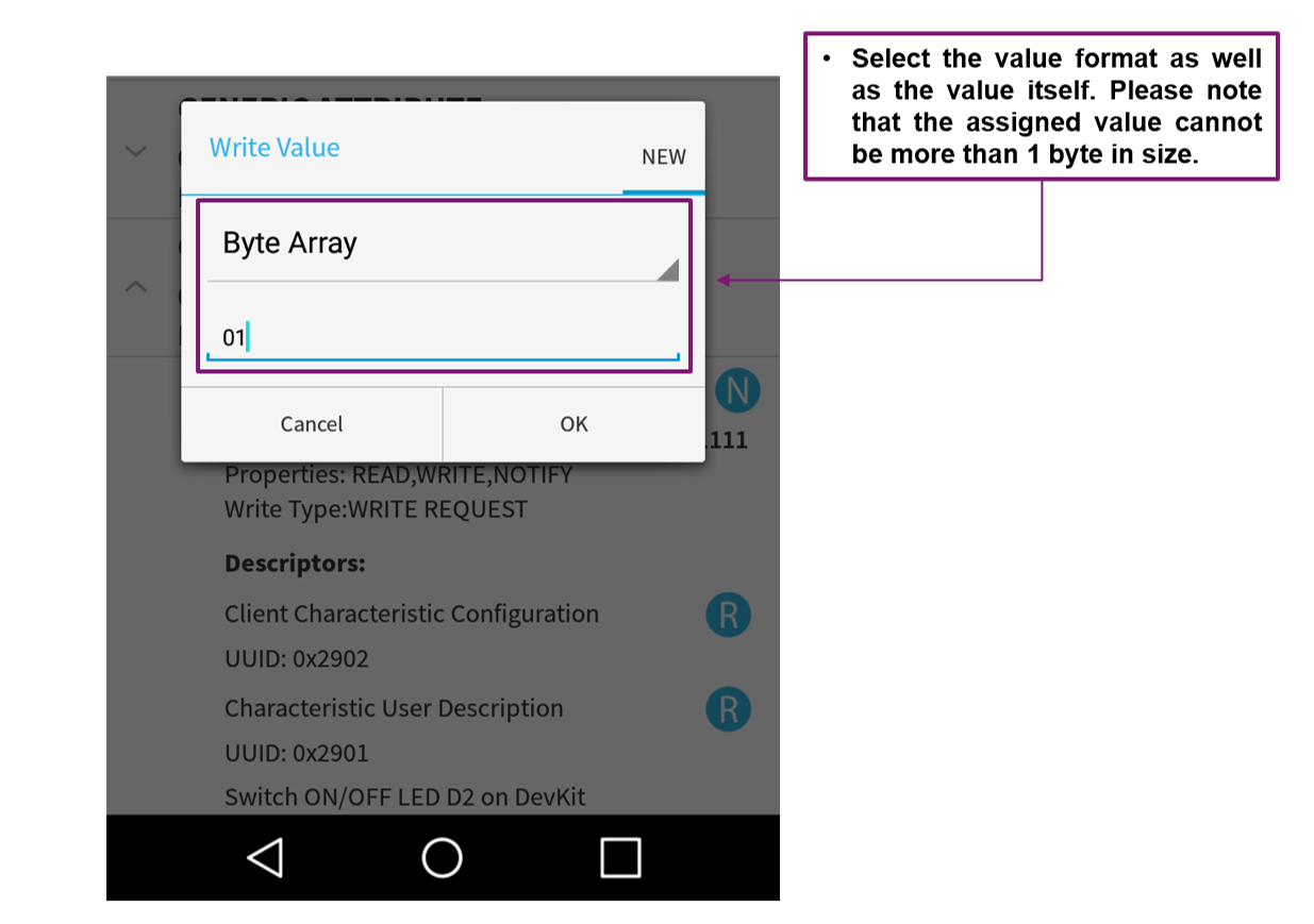 'Verify the Characteristic Behavior (Write Operation)'